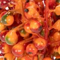 En buket orange bær, 20 cm lange | Floristik24.dk