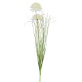 Floristik24 Kunstige blomster kugleblomst allium prydløg kunstig hvid 90cm