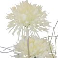 Floristik24 Kunstige blomster kugleblomst allium prydløg kunstig hvid 90cm