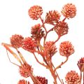 Kunstig bærgren, naturtro efterårsdekoration, 68 cm | Floristik24.dk