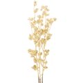 Floristik24 Kunstig bærgrendekoration, guld, 70 cm, 3 stk.