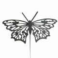 Floristik24 Blomsterprop metal sommerfugl sort 10,5×8/44cm 3stk
