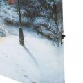 Floristik24 LED vægmaleri vinterlandskab med hus 38×28cm Til batteri
