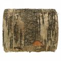 Floristik24 Birkebarkrulle brun, grå bark til kunsthåndværk 15×300cm
