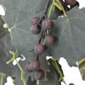 Deco Garland Vinblade og druer Efterårsguirlande 180cm