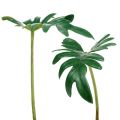Floristik24 Philodendron blad 31cm grøn 12stk