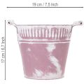 Blikspand, lilla og hvidvasket, Ø19 cm H17 cm, 1 stk. | Floristik24.dk