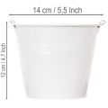 Hvide blikspande Ø14cm H12cm 6 stk. | Floristik24.dk
