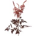 Floristik24 Kunstig blomst Astilbe langstilket splendor 80cm
