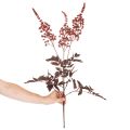 Kunstig blomst Astilbe langstilket splendor 80cm | Floristik24.dk