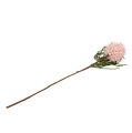 Floristik24 Blossom branch Foam Pink/Grøn 65cm