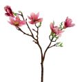 Floristik24 Magnolia mini pink, pink L53cm 3stk