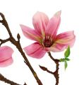 Floristik24 Magnolia mini pink, pink L53cm 3stk