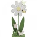Floristik24 Blomst at sætte, forårsdekoration med sommerfugle H36,5cm