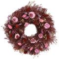 Floristik24 Blomsterkrans, tørret blomsterkrans, vinrød, pink, Ø25 cm