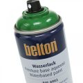 Floristik24 Belton fri vandbaseret maling højglans farvespray 400ml