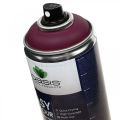 Floristik24 OASIS® Easy Color Spray, malerspray Erika 400ml