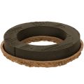 Floristik24 Blomsterskumring OASIS® Renewal® Blomsterskum Biolit® 24 cm 2 stk.