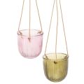 Floristik24 Glasurtepotte/hængende lanterne, lilla/grøn, 14 cm, 2 stk.