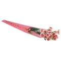 Floristik24 Blomsterpose med hjerter pink Til en rose 50cm 50stk