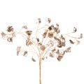 Bønneblomstgren metallisk
