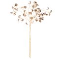 Bønneblomstgren metallisk