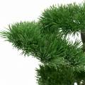 Floristik24 Bonsai -træ i keramisk gryde Japansk fyr kunstigt H36cm