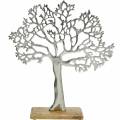 Floristik24 Metaltræ, dekorativ bøg på en træbund, dekoration i sølvmetal, livets træ, mangotræ