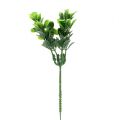 Floristik24 Boxwood gren grøn L20cm 12stk