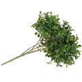 Floristik24 Boxwood gren grøn 27cm