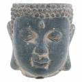 Floristik24 Buddhahoved til plantning af antik look beton sort Ø8 H8cm