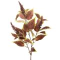 Floristik24 Kunstig Coleus med røde blade, kunstig plante, 20 cm