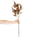 Kunstig Coleus med røde blade, kunstig plante, 20 cm | Floristik24.dk