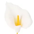 Kunstig calla med gul støvdrager, dekorative blomster, 35 cm, 10 stk. | Floristik24.dk
