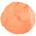 Floristik24 Capiz-skaller Capiz-skiver perlemor-skiver appelsin 7,5–9,5 cm 300g