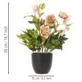 Kunstig Helleborus potteplante, julerose, til boligdekoration, 50 cm | Floristik24.dk