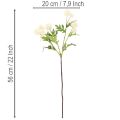 Kunstig krysantemumblomst, cremehvid buket, dekorativ gren, stor 56 cm, 4 stk. | Floristik24.dk