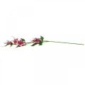 Floristik24 Clematis gren med 5 blomster, kunstig blomst, dekorativ gren pink, hvid L84cm