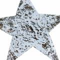 Floristik24 Kokosnødestjerne hvidvasket 10 cm 20stk