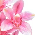 Floristik24 Cymbidium orkidé kunstig 5 blomster pink 65cm