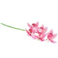 Floristik24 Cymbidium orkidé kunstig 5 blomster pink 65cm