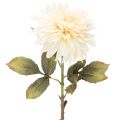 Floristik24 Kunstig dahliablomst til vase 68 cm
