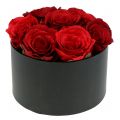 Floristik24 Blomsteræske rosenæske sort rund Ø18cm - Ø20cm 2stk