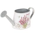 Floristik24 Dekorativ metalvandkande, lavendel, retro havedesign, 30×11×14,5 cm