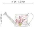 Dekorativ metalvandkande, lavendel, retro havedesign, 30×11×14,5 cm | Floristik24.dk