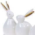 Floristik24 Dekorative kaniner hvid, guld 24cm x 14,5cm x 8,5cm