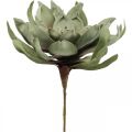 Floristik24 Deco lotusblomst kunstig lotusblomst kunstig blomst grøn L70cm