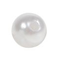 Floristik24 Deco perler hvid Ø10mm 115p