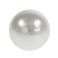 Floristik24 Deco perler hvid Ø20mm 12stk