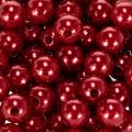 Pynteperler Ø10mm rød 115 stk | Floristik24.dk
